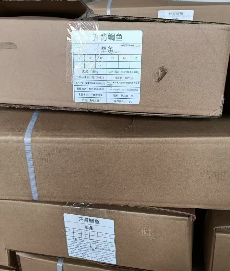 开背鲷鱼
