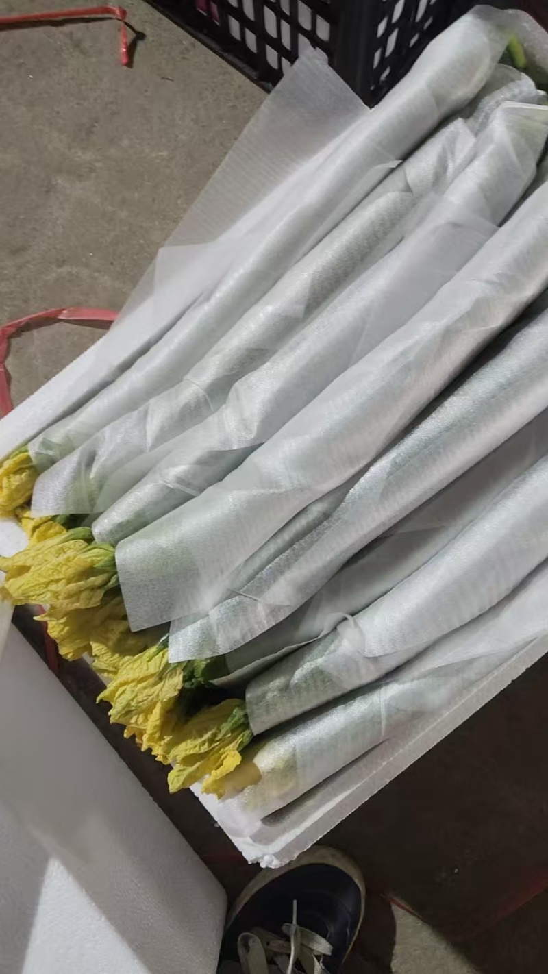 鲜花丝瓜
