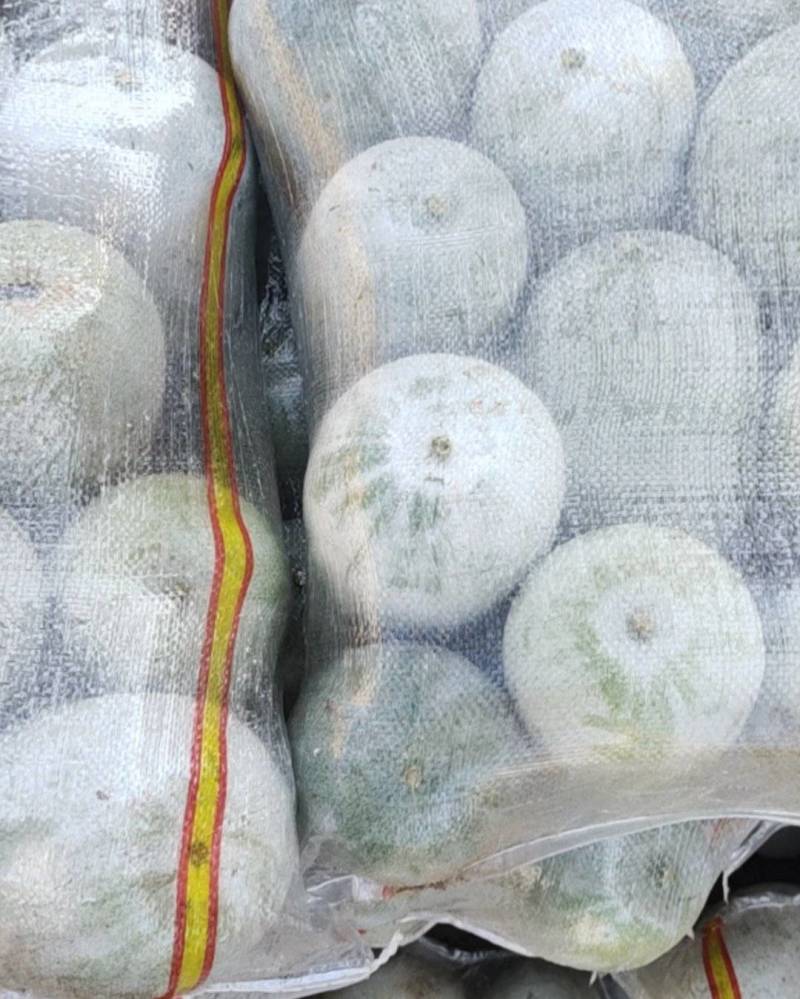 水果冬瓜2一4斤货原冲足货源充足