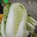 甘肃高原夏菜质量保证