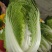 甘肃高原夏菜质量保证