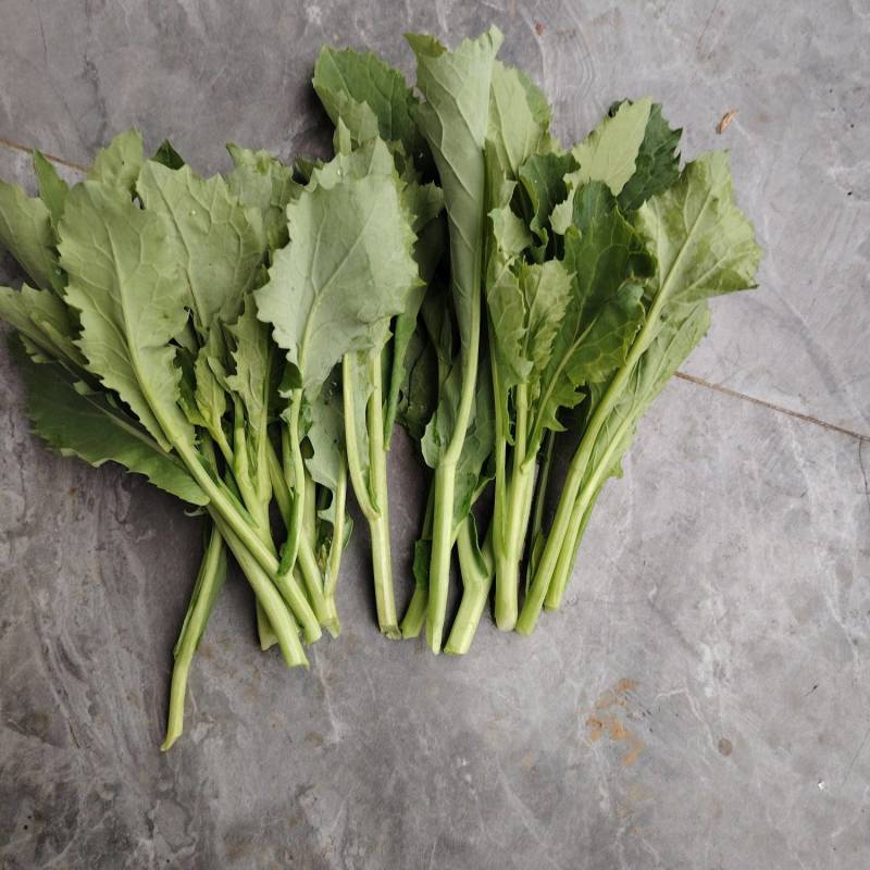 青油菜苔