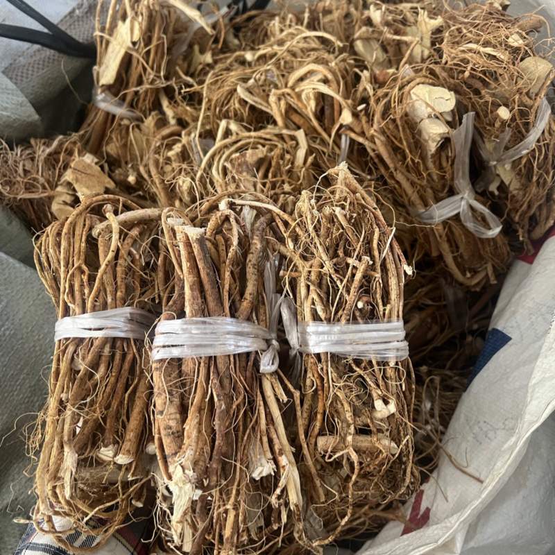 【五指毛桃】产地货源。保证质量欢迎联系