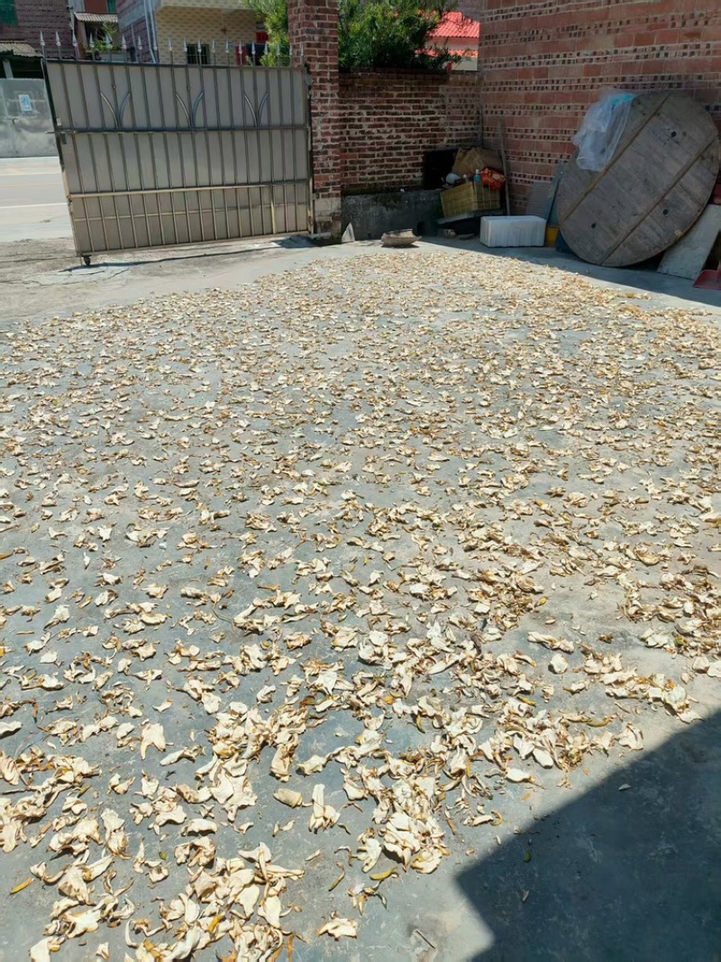 广东佛手柑干片包邮，一手货源视频看货全国发货，量大优惠
