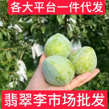 湖南汝城文明翡翠奈李支持微商电商团购一件代发，档口批发