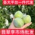 湖南汝城文明翡翠奈李支持微商电商团购一件代发，档口批发