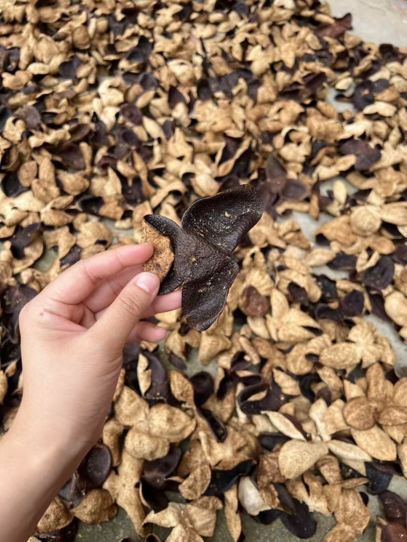 陈皮正品厂家直销库存充足随时发货