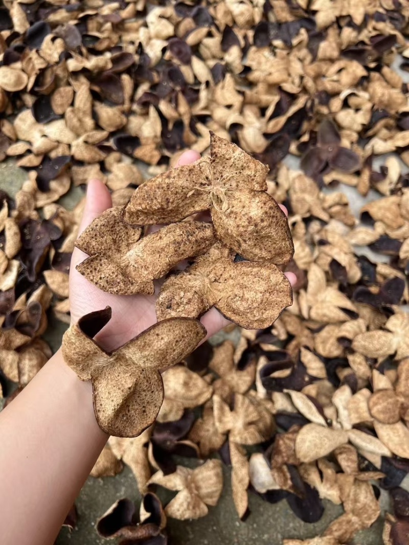 陈皮正品厂家直销库存充足随时发货