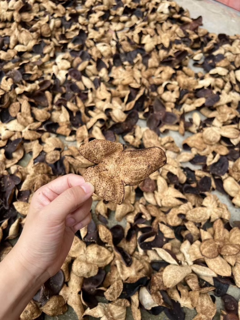 陈皮正品厂家直销库存充足随时发货