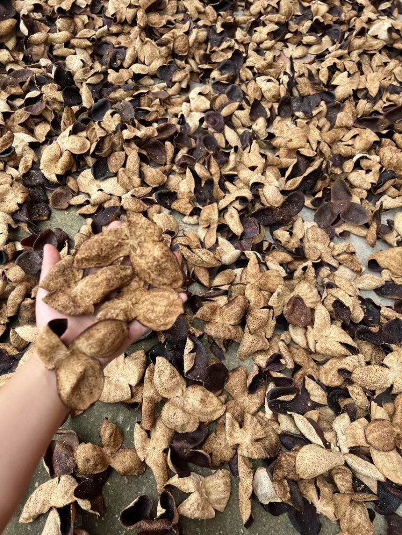 陈皮正品厂家直销库存充足随时发货