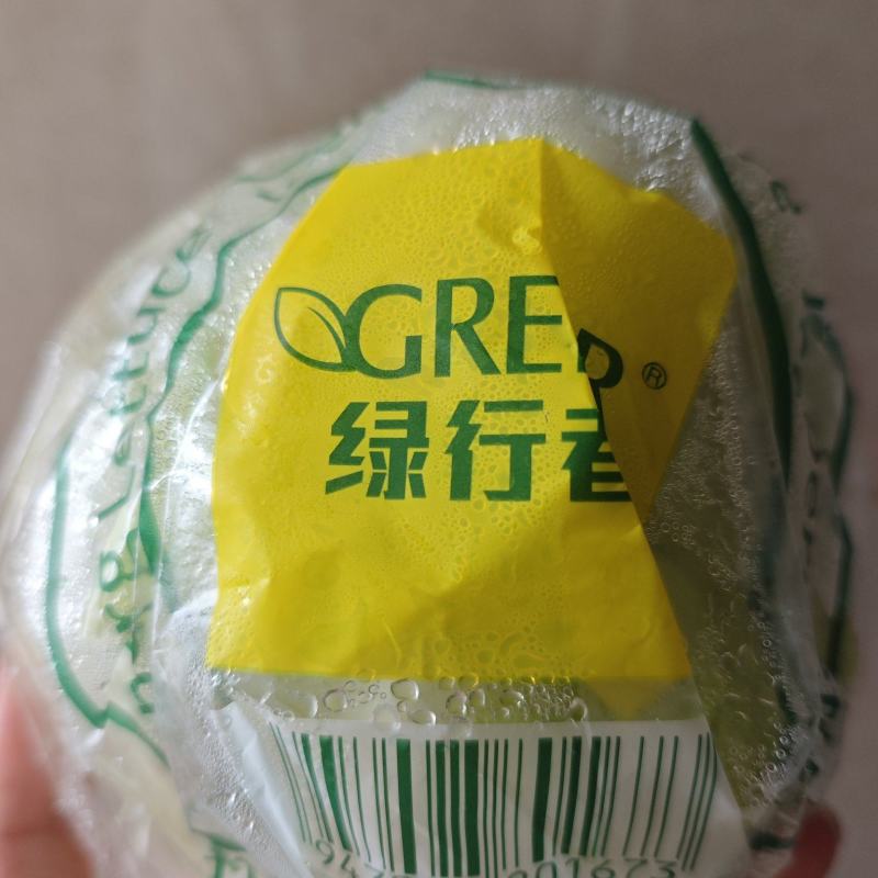 绿行者球生菜