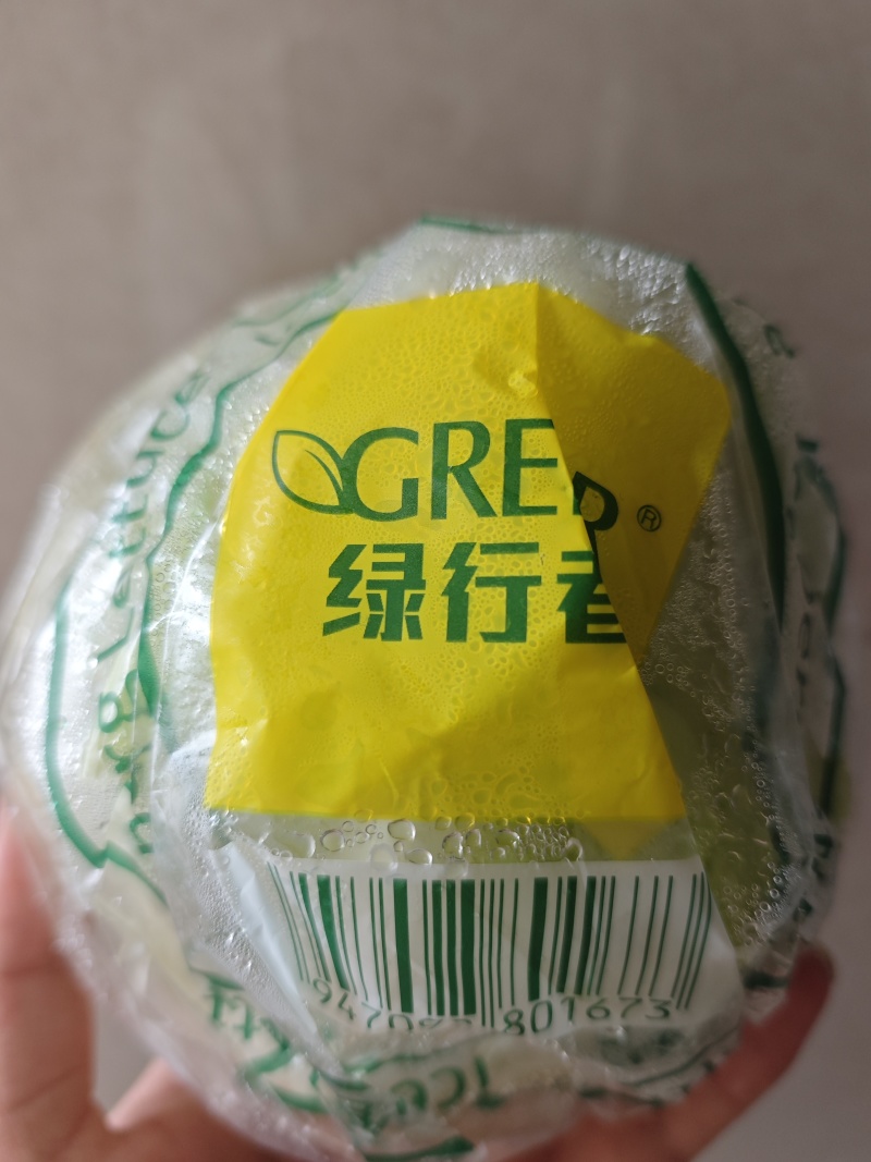 绿行者球生菜
