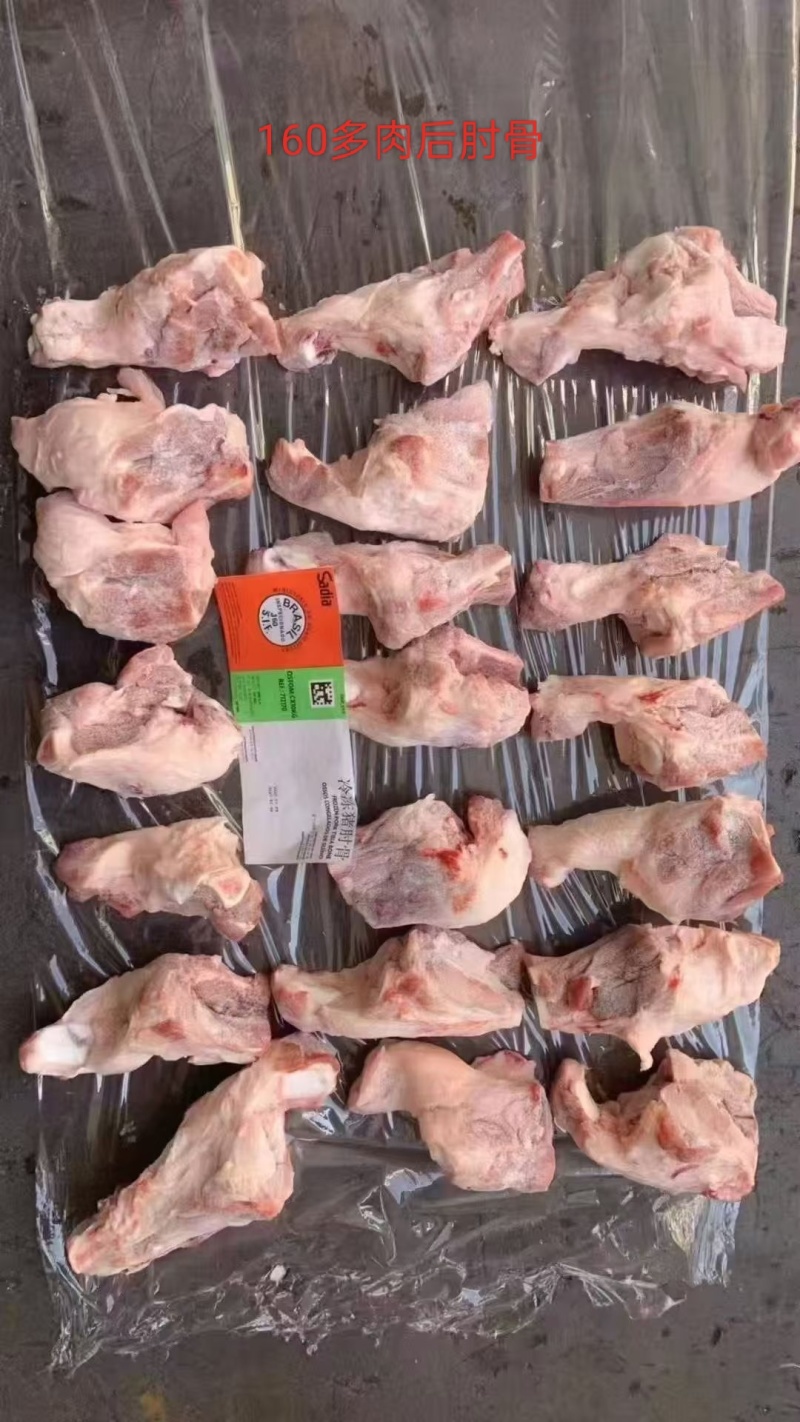 160多肉后肘骨