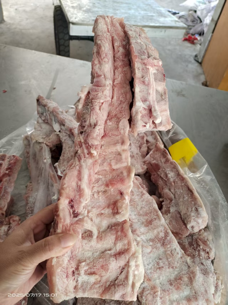 肥猪龙骨