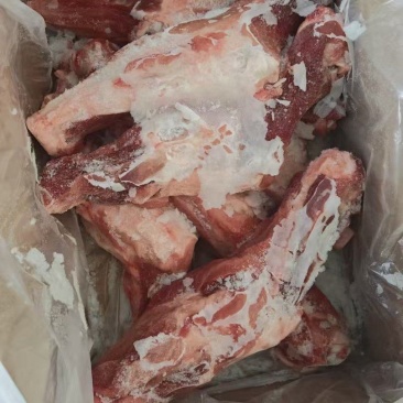 肥猪带腱后腿骨