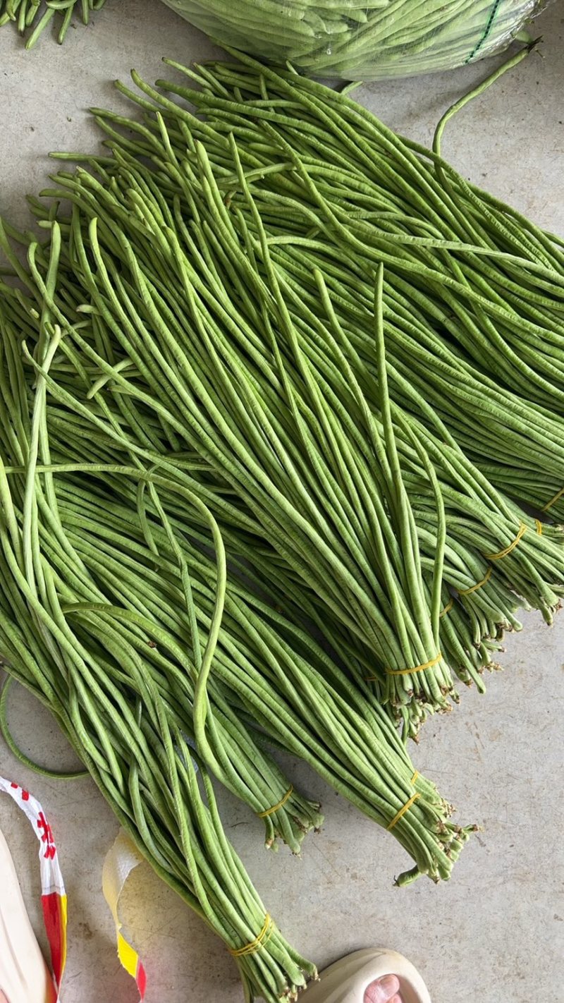 湖北利川高山蔬菜长豆角豇豆