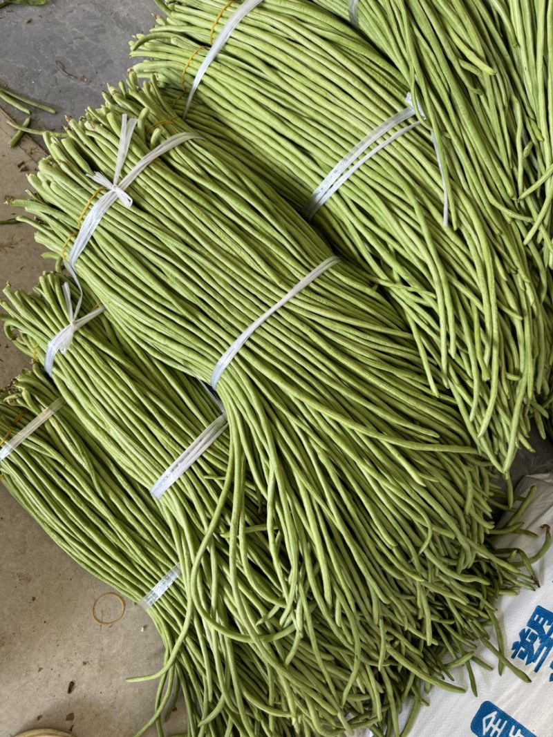 湖北利川高山蔬菜长豆角豇豆