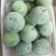 香芋冬瓜