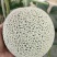 牛三网纹瓜