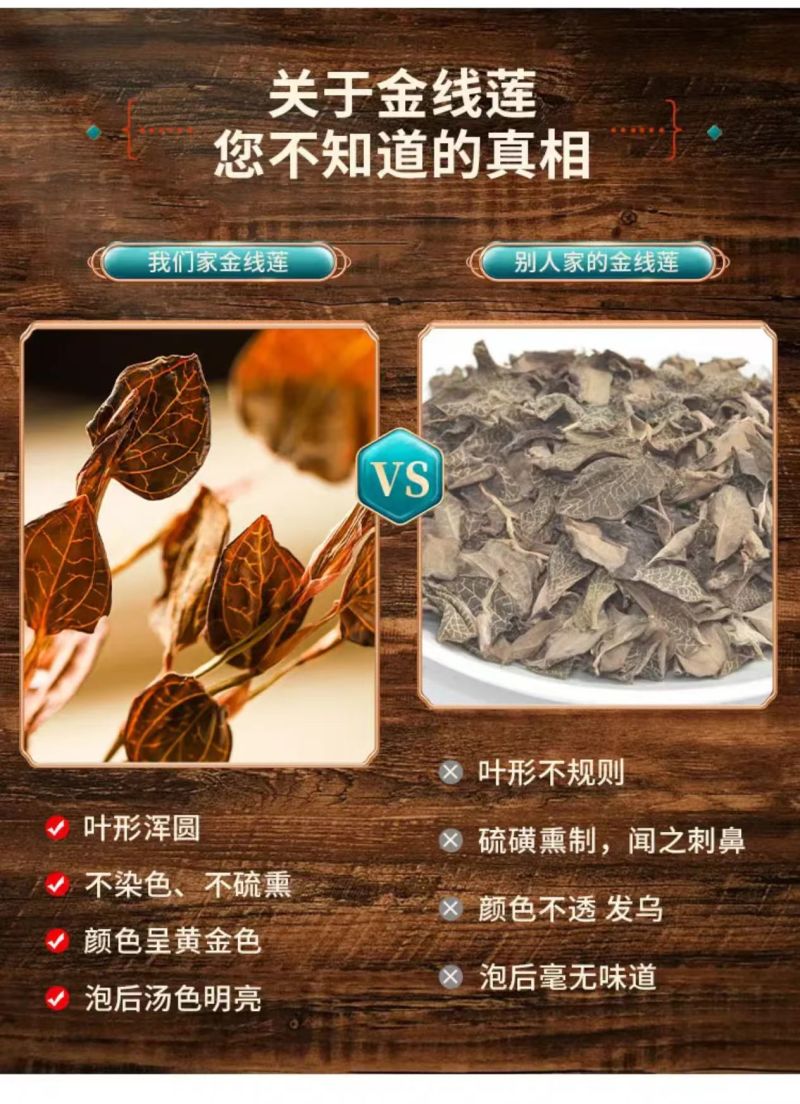 云南高山仿野生种植金线莲