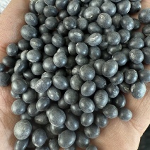 黑豆
