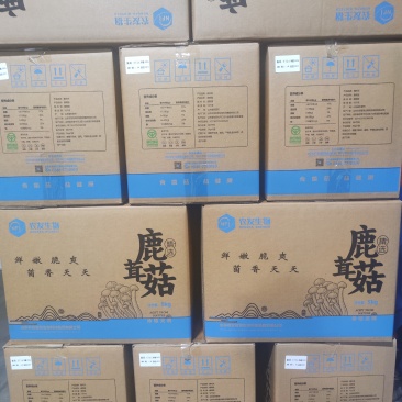 鹿茸菇干品