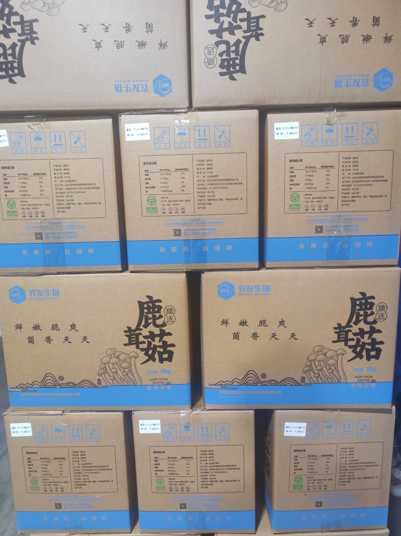 鹿茸菇干品