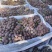 2025年威县露天巨峰软枝不掉粒大量上市