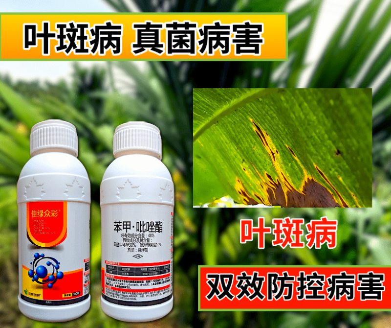 40%苯甲吡唑酯杀菌剂叶斑病真菌病害高含量保护杀菌