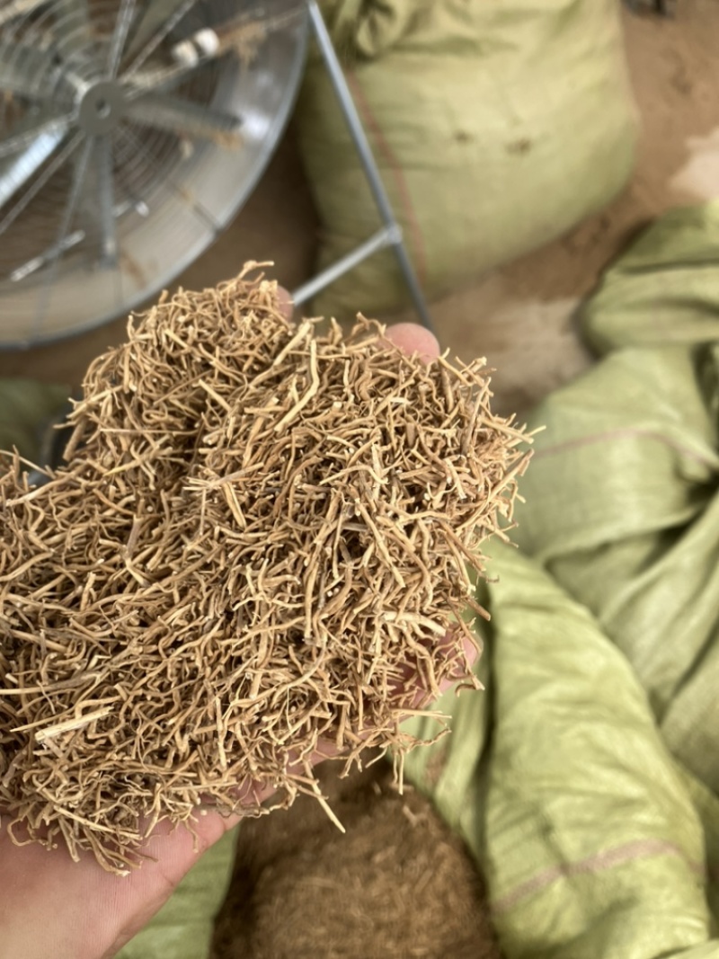 白薇零售批发全国发货种植基地源头厂家无中间商赚差价