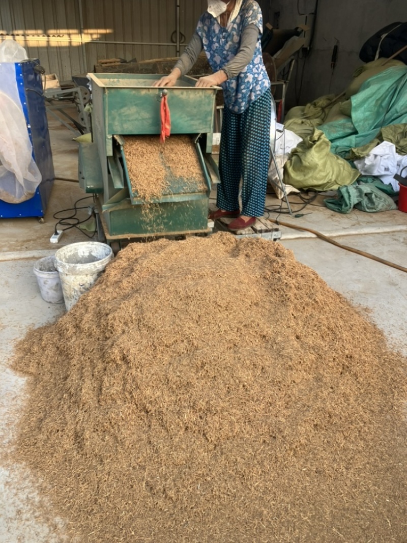 白薇零售批发全国发货种植基地源头厂家无中间商赚差价