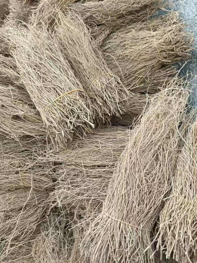徐长卿各种规格山东千亩药材基地源头厂家价格实惠