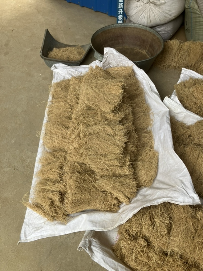 徐长卿各种规格山东千亩药材基地源头厂家价格实惠