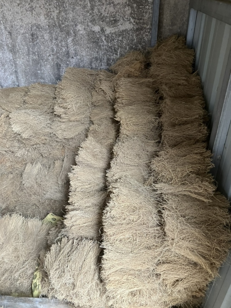 徐长卿各种规格山东千亩药材基地源头厂家价格实惠