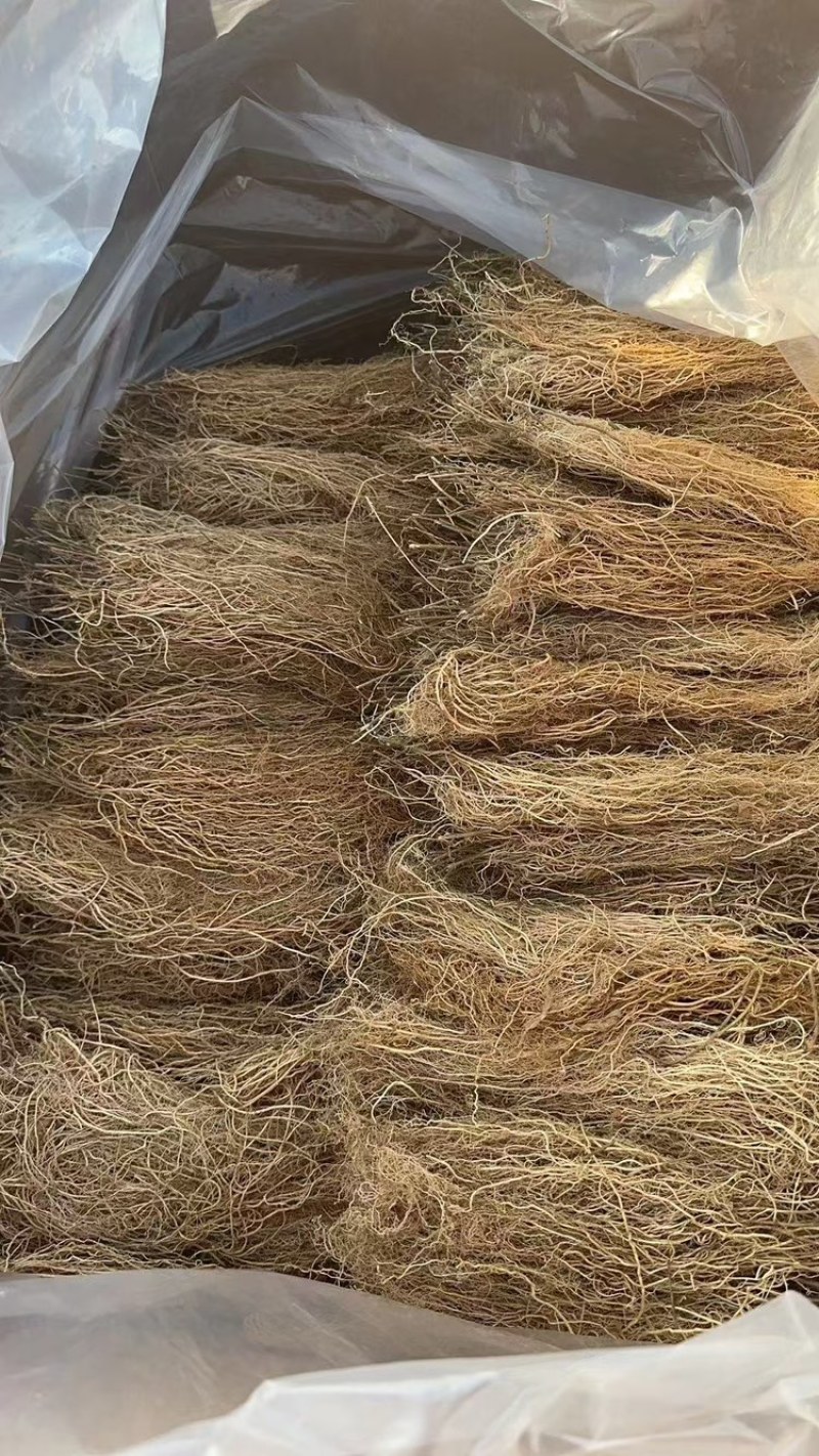 徐长卿各种规格山东千亩药材基地源头厂家价格实惠