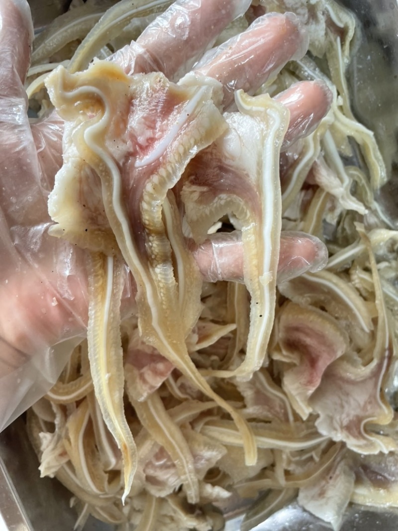 全熟白水猪耳丝2斤一袋整箱20斤去腥免切解冻可直接凉拌