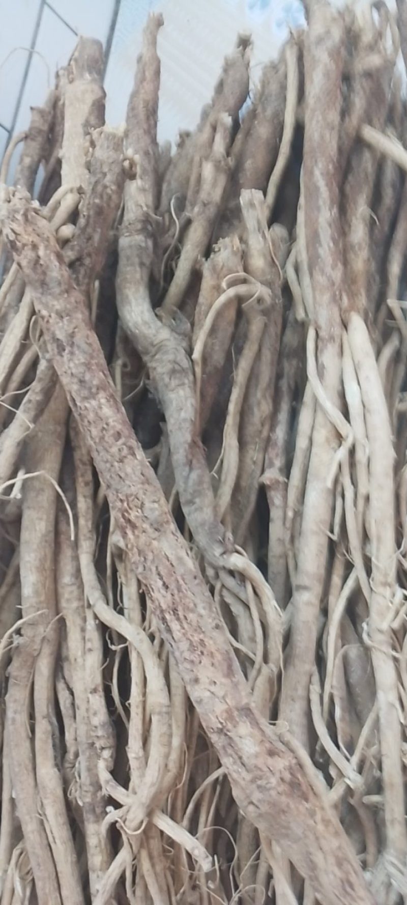 长白山黄芪自己踩的货不多存野生的品相不好看质量杠杠的。
