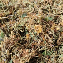野生金银花统货太阳晒干