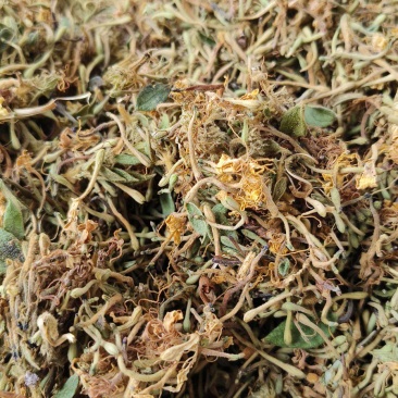 野生金银花统货太阳晒干