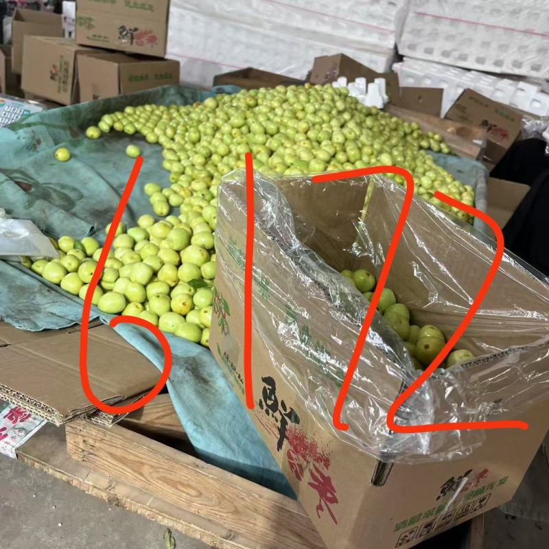枣脆王