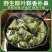 13084粽叶，959558这里不能下单加数