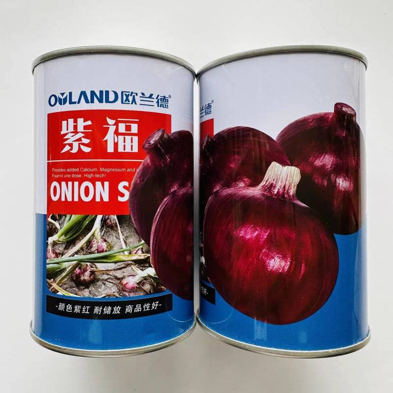 杂交紫皮洋葱种子欧兰德紫福高产中早熟耐抽苔高端紫洋葱种子