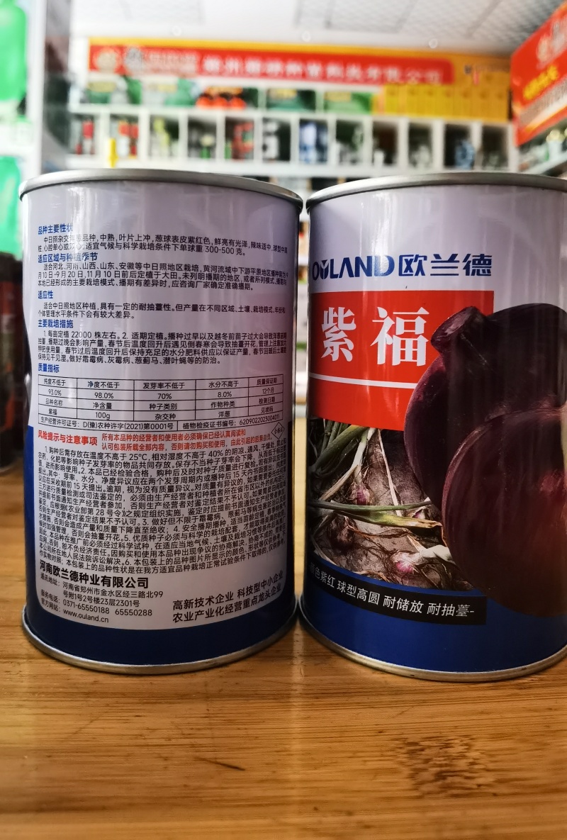 杂交紫皮洋葱种子欧兰德紫福高产中早熟耐抽苔高端紫洋葱种子