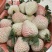 精品草莓批发零售#礼品盒