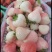 精品草莓批发零售#礼品盒