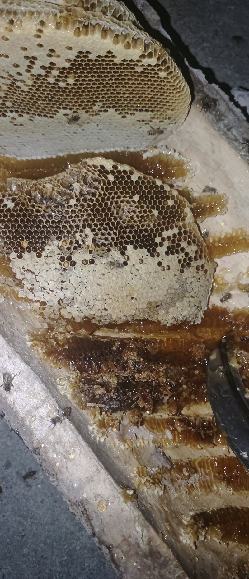 高山蜂糖，产自海拔3000米的茂县