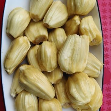 菠萝蜜