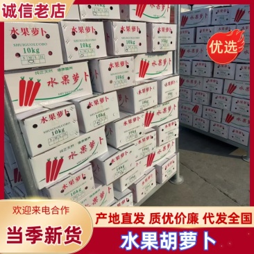 萝卜精品土货水洗货供应规格齐全价格合理全年有货
