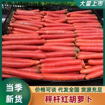 称干红胡萝卜水果萝卜皮毛干净，颜色好，个头均匀产地直发