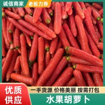 陕西水果萝卜精品规格颜色鲜品质好口感佳代发